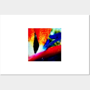 Bird of Paradise Abstract Posters and Art